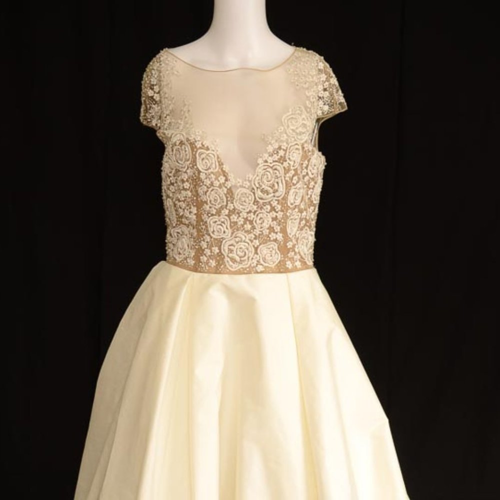 Hayley Paige Chandler embroidered wedding dress
